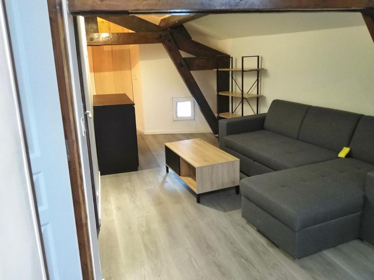 Detente - Appartement Et Poutres Apparentes Béziers Exterior foto